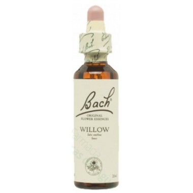 BACH 38 WILLOW 20 ML