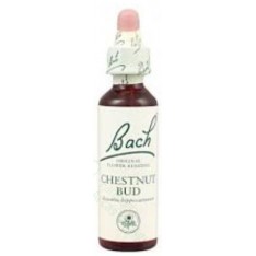BACH (07) CHESTNUT BUD 20ML