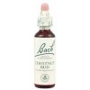 BACH (07) CHESTNUT BUD 20ML