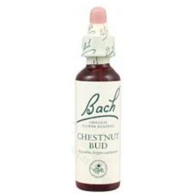 BACH (07) CHESTNUT BUD 20ML BACH (07) CHESTNUT BUD 20ML